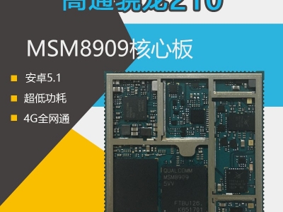 XY8901 Module